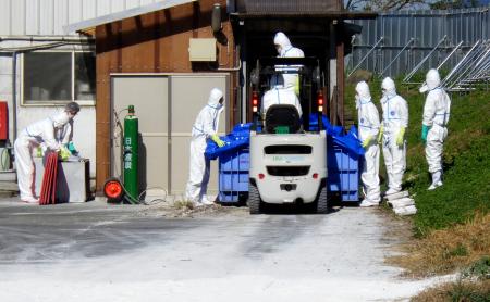 群馬県渋川市の養豚場で選択的殺処分を行う職員ら＝１１日（群馬県提供）