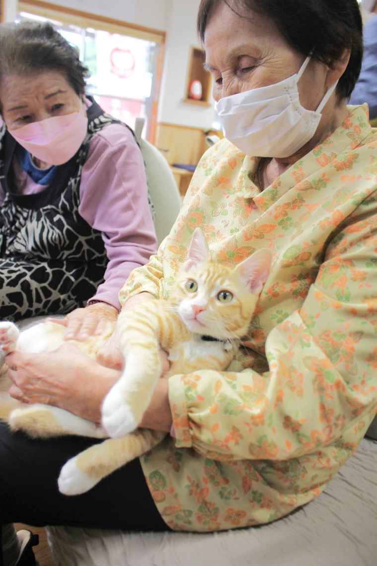 「ねこたまデイサービス」で、猫に癒やされる利用者ら