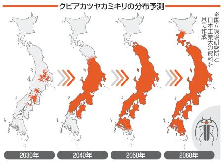 クビアカツヤカミキリの分布予測
