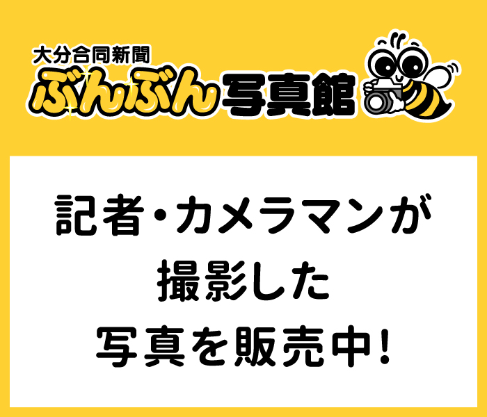 ぶんぶん写真館