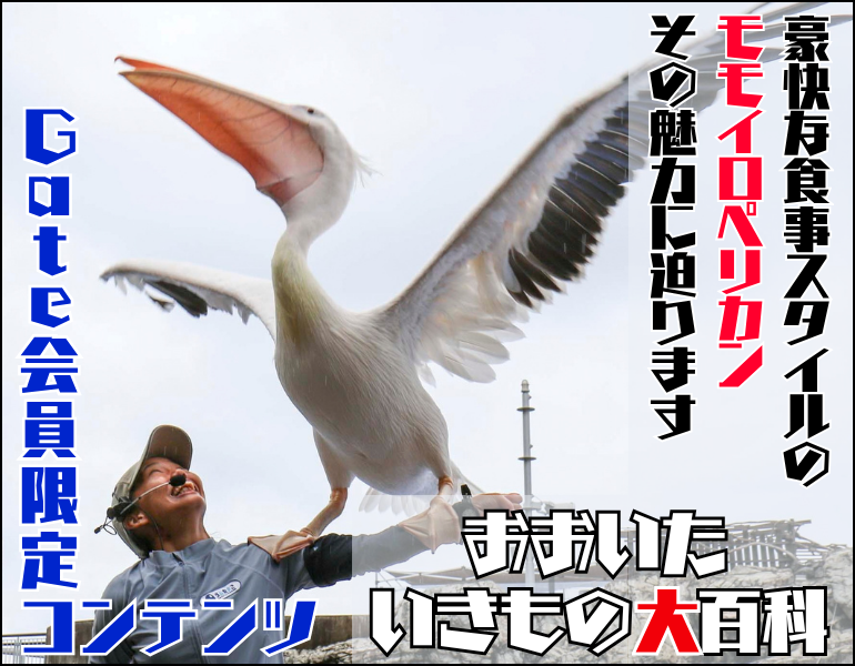 いきもの大百科