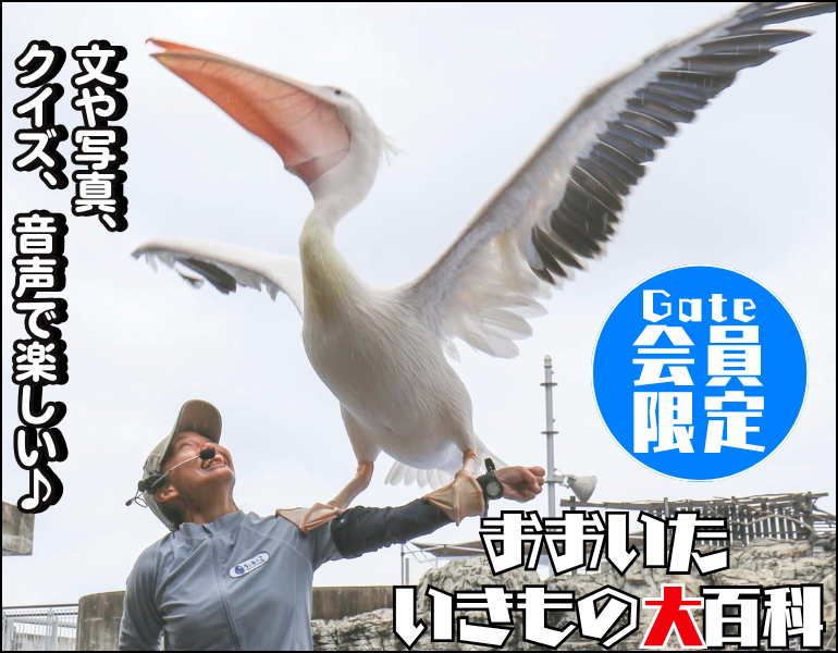 いきもの大百科