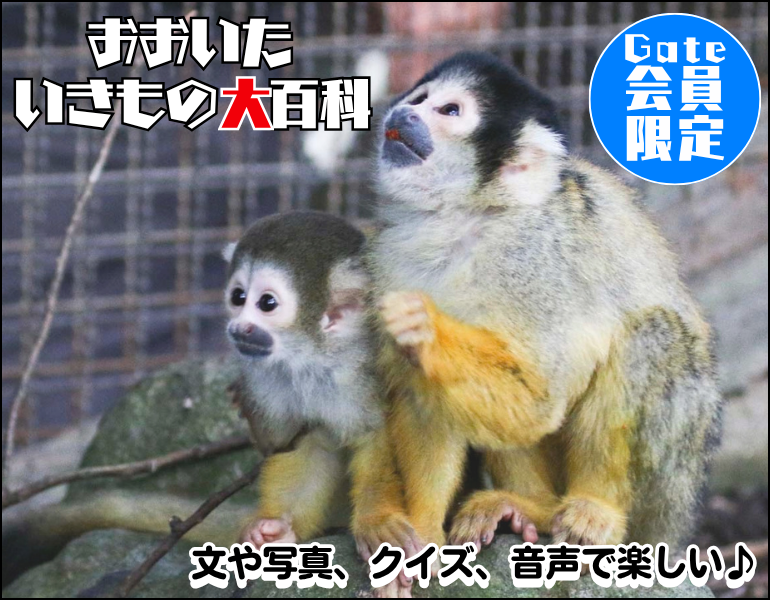 いきもの大百科