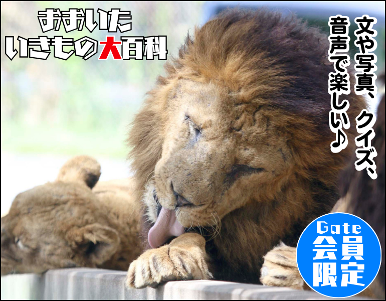 いきもの大百科