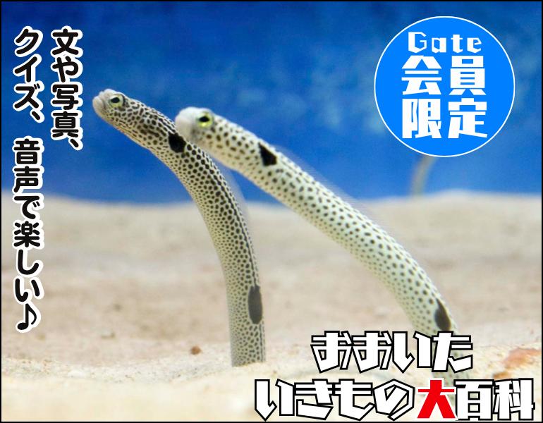 いきもの大百科