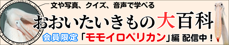 いきもの大百科
