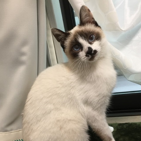 投稿写真 大分のニュースなら 大分合同新聞プレミアムオンライン Gate