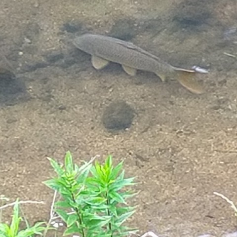 投稿写真 大分のニュースなら 大分合同新聞プレミアムオンライン Gate