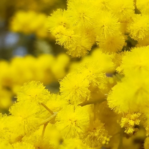 投稿写真 大分のニュースなら 大分合同新聞プレミアムオンライン Gate