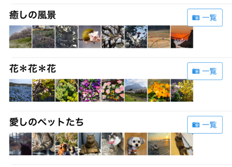 紙面全体