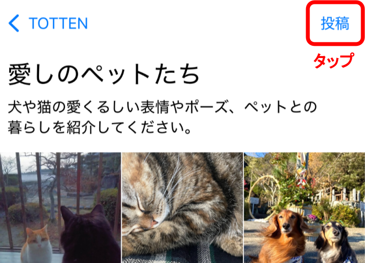 拡大紙面